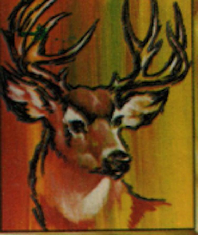 Deer (18BBB) Paint By Number Museum