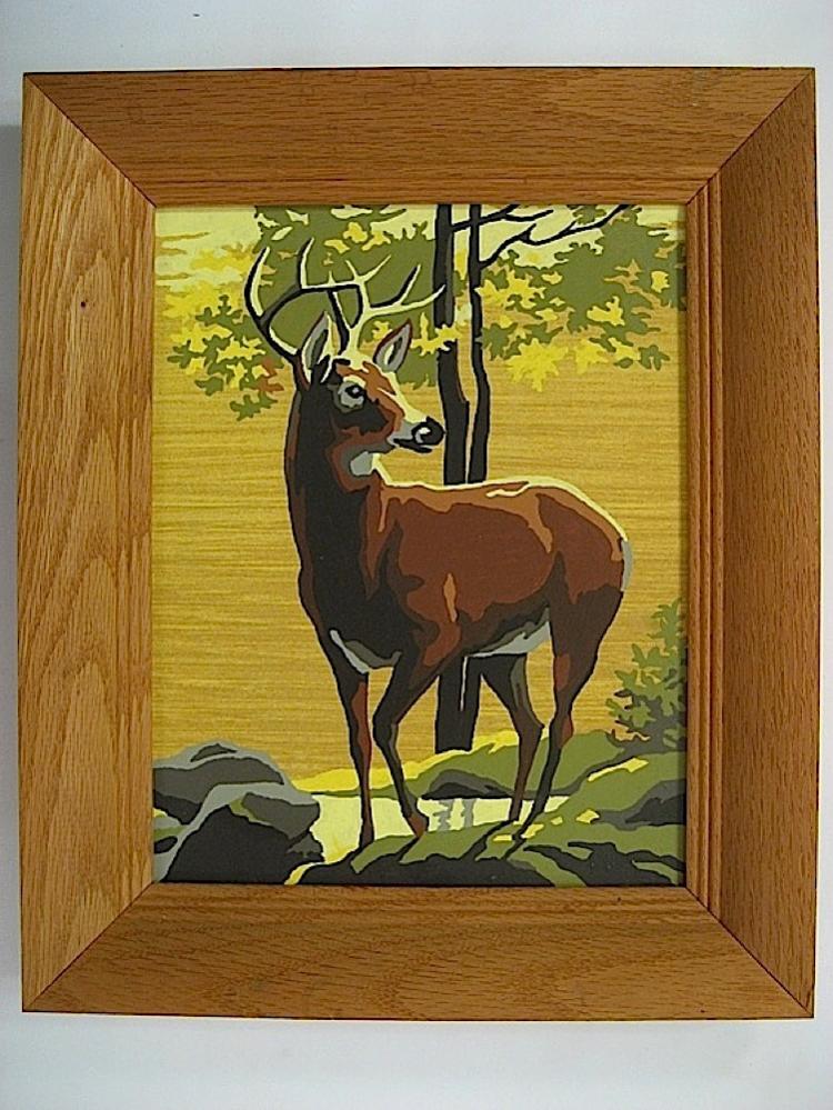 Natural Beauty (20BB2) Paint By Number Museum