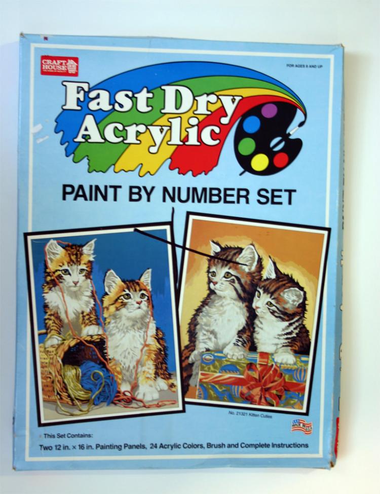 Fast Dry Acrylic 21321 4 (1993) Paint By Number Museum
