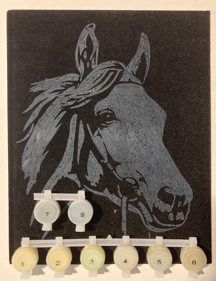 Black Velvet White Stallion Paint By Number Museum