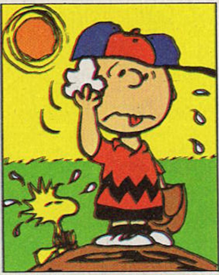 Baseball (22PPP1) Paint By Number Museum